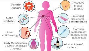 Breast cancer (bc) has been the most common cancer among women in hong kong since the early 1990's. Essay Writing Www Badeloft Com