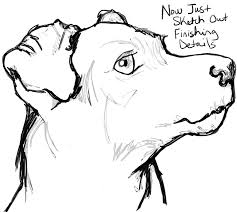 How To Draw A Terrier S Face Dog S Face With Easy Steps How To Draw Step By Step Drawing Tutorials They are robust dogs that have square shaped bodies, and long shaped heads.