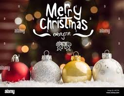 Image result for xmas greetings images