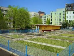 We did not find results for: Sustainable Neighbourhoods In Europe Sdg21