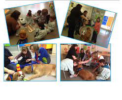 Animal Assisted Education