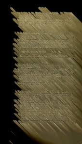 Image result for Trichopteryx fruticulosa