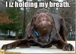 Iz Holding My Breath Cute Animals Funny Animals Funny Dog Pictures