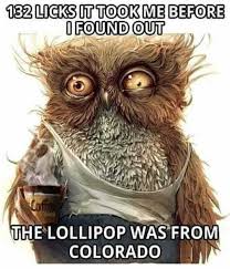 Contact lick me like a lollipop! Dopl3r Com Memes 132 Licks Ut Took Me Before Iifound Out The Lollipop Was From Colorado
