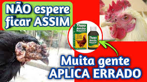 Bouba aviária é uma doença que afeta vários tipos de aves entre elas galinhas, perus, pombos e pássaros (marrecos, patos, gansos, galinholas e outras. Bouba Aviaria Tratamento Com Thuya Funciona Mesmo Como Curar Bouba Aviaria Caroco Verruga Pipoca Youtube