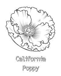 Some of the coloring page names are pin on poppy patterns, poppy clipart colouring poppy colouring transparent for on webstockreview 2021, 125 exceptional poppy coloring ideas veterans day trolls baby cat flower, poppy sketch coloring wild flower clipart botanical etsy floral poster poppy flower, poppy clipart. Free Printable California Poppy Coloring Page Mama Likes This