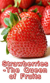 Strawberries The Queen Of Fruits Lifelivity Fruit Healthy Honey Clean Eating Diet