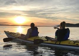 Maybe you would like to learn more about one of these? Sea Kayaking Tour Killer Whale Kayaking Washington Kayaking With Orcas