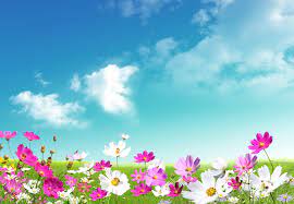 1,738 free images of spring wallpaper. 74 Free Spring Backgrounds For Computer On Wallpapersafari