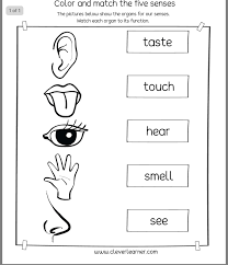 Pin By Fatima Jamal Haidous On Senses Activities Preschool Worksheets Kindergarten Reading Worksheets Alphabet Worksheets Preschool