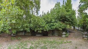 See more ideas about nature tattoos, tattoos, forest tattoos. Tatoi Trip2athens Com