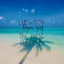 Hurt, pain, and suffering yield to aloha's healing power. unfolded by the water are the faces of the flowers. The Most Alive Stjohnusvi Caribbeanvillasofstjohn Usvi Travel Www Caribbeanvilla Com Hawaii Quotes Beach Quotes Caribbean Quote