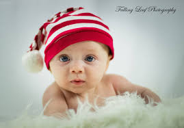 Falling Leaf Photography