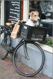 The Hipster Way Biking With Dog Dog Bike Carrier Dog Bike Basket