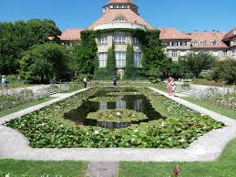 We did not find results for: Botanischer Garten Muenchen Nymphenburg Munich Destimap Destinations On Map