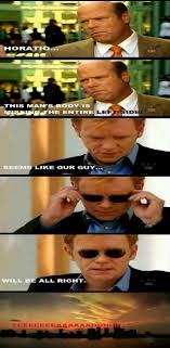 10 Puts On Sunglasses Memes That Will Make David Caruso Proud