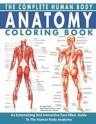 Almost every muscle constitutes one part of a pair of identical bilateral. The Complete Human Body Anatomy Coloring Book The Ultimate Anatomy And Physiology Study Guide For Beginners By Smith Houssam