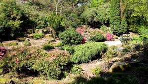 Gartenvlies verlegen ist denkbar einfach, wenn sie dabei ein paar wichtige dinge beachten. Steingarten Anlegen Anleitung Und Tipps Fur Richtige Steine Und Pflanzen