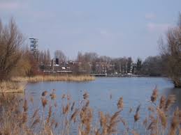 Plaswijckpark is a theme park in rotterdam. Plaswijckpark Wikipedia