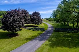 205 sweitzer rd, sinking spring, pa