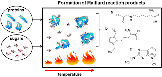 Nutrients Free Full Text Food Processing The Influence Of The Maillard Reaction On Immunogenicity And Allergenicity Of Food Proteins Html