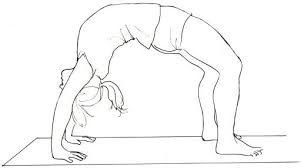 Urdhva Dhanurasana Drawn By Bobby Clennell Yoga Postures Yoga Poses Figure Sketching