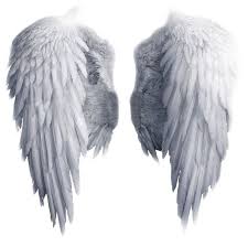 Cara edit garis dipinggiran foto garis tepi picsart youtube. Pin By Bloodynova On Picsart Examples Wings Png Angel Wings Png Angel Wings Drawing