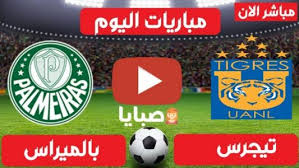 مشاهدة مباراة بالميراس وتايجرس بث مباشر اليوم 7 2 2021 نصف نهائي كأس العالم صبايا