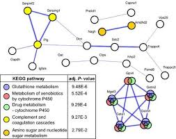 STRING interaction networks for a set of 80 proteins. The expression of... 