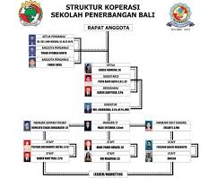 Bahkan terdapat beberapa sekolah yang tidak. Struktur Organisasi Koperasi Sekolah Simpan Pinjam Ukm Dan Tugasnya