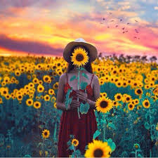Pin On Flowers Power