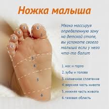 Massazh Dlya Novorozhdennyh V Domashnih Usloviyah 7 Video Instrukcij