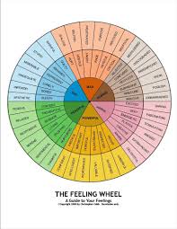 20 primary and secondary emotions emotions wheel