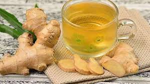 Karena ace max sini sebuah ramuan terobosan baru yang mampu untuk menyembuhkan pendarahan haid dengan cepat dan aman serta tanpa efek samping apapun. 3 Manfaat Jahe Untuk Kesehatan Bisa Jadi Cara Menghilangkan Nyeri Haid