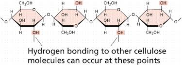 Causes the surface to act as if it has a thin skin. Chemistry Ii Water And Organic Molecules