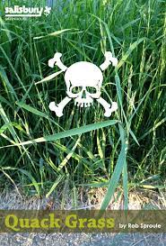 Quack Grass Salisbury Greenhouse Greenhouse Salisbury Grass