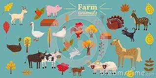 Big Set Of Farm Animals Pig Rabbit Cow Bull Cat Dog Goose Duck Turkey Donkey Goat Sheep Ram Modern Stock Vector Illustra Farm Animals Sheep Cow