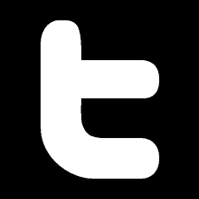 Image result for twitter logo black