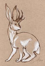60 Jackalope Ideas In 2020 Jackalope Animal Art Art The antlers would have to spread wide so they would cover over his. jackalope animal art