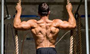 Aktuelle top 7 für 2021 gesucht? Back Workouts For Mass That Beginners Use To Build Size