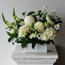 We did not find results for: Same Day Flower Delivery Melbourne I The Flower Shed