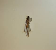 Sheetrock brand ultralight 1/2 in. How To Repair A Large Hole In Sheetrock Or Drywall Between Naps On The Porch