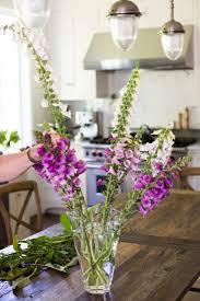 They also do very well in containers, making them perfect for adding volume and color to a shady porch or patio. Foxgloves Rethinking A Fickle Flower Gardenista