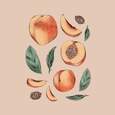 Pin By Roselynn E Moore On Insp Fruits Drawing Peach Art Drawings