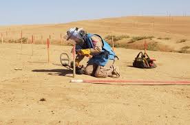 They are used to make tabasco sauce, which is known for its hot and spicy taste. Eu Civil Protection And Humanitarian Aid On Twitter Maha 25 Destroys Landmines And Gender Stereotypes Everybody Thought My Job Is For Men Only But I Insisted On Working And I Challenged