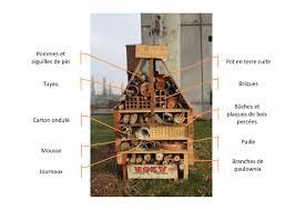 Hotel A Insectes Meyzieu Rhone Hotel A Insectes Maison A Insecte Insectes