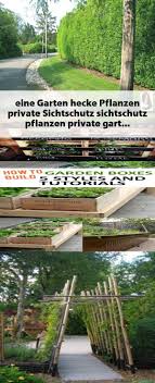 Sichtschutz Pflanzen Private Garten Hecke Eine Garden Types Ground Cover Plants Garden Tools List