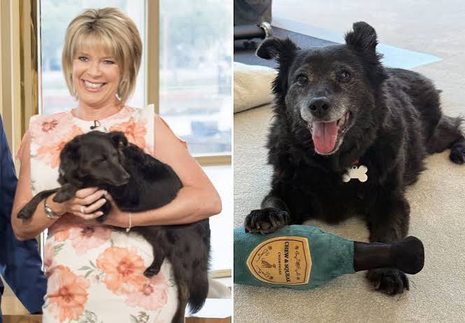 Heartbroken Ruth Langsford reveals dog Maggie she shared with ex Eamonn Holmes has died