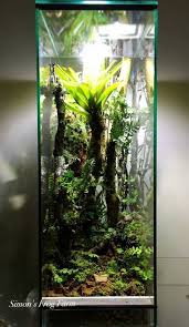 F0bf0bc0ebc8e56475dbcc139915af24 Jpg 1186 2048 Paludarium Aquarium Jardins
