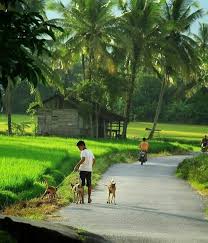 772 likes · 2 talking about this · 378 were here. Kampung Halaman Ku Steemit